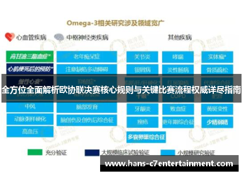 全方位全面解析欧协联决赛核心规则与关键比赛流程权威详尽指南