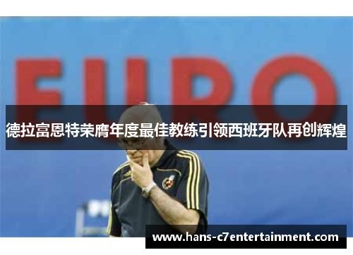 德拉富恩特荣膺年度最佳教练引领西班牙队再创辉煌