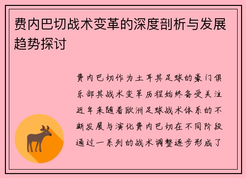 费内巴切战术变革的深度剖析与发展趋势探讨